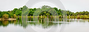 Louisiana Bayou Waterscape