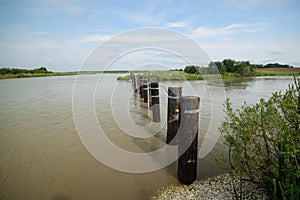 Louisiana Bayou Waterscape