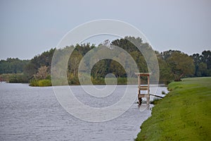 Louisiana Bayou Waterscape