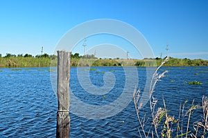 Louisiana Bayou Waterscape