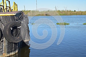 Louisiana Bayou Waterscape