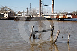 Louisiana Bayou Waterscape