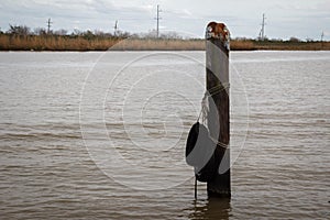 Louisiana Bayou Waterscape