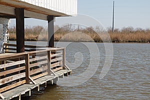 Louisiana Bayou Waterscape