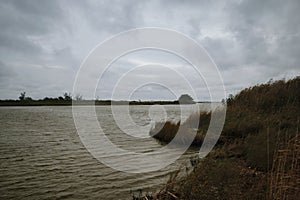 Louisiana Bayou Waterscape