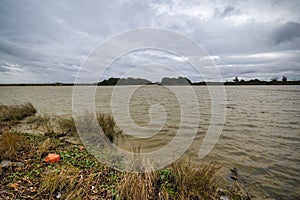 Louisiana Bayou Waterscape