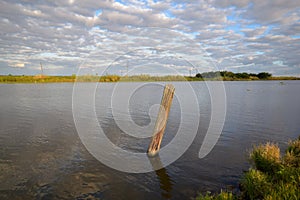 Louisiana Bayou Waterscape