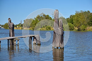 Louisiana Bayou Waterscape