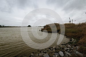 Louisiana Bayou Waterscape