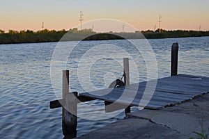 Louisiana Bayou Waterscape