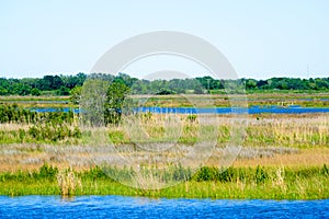 Louisiana Bayou Wetlands