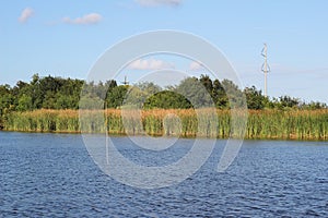 Louisiana Bayou Wetlands