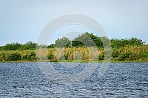 Louisiana Bayou Wetlands