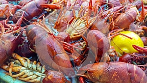 Louisiana Crawfish boil close up