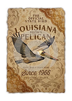 Louisiana Life New Orleans Culture Background Damask Artwork Southern Living