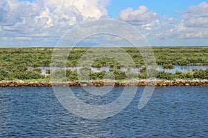 Louisiana Marsh