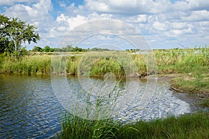 Louisiana Marsh Wetlands