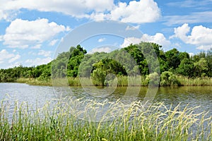 Louisiana Marsh Wetlands