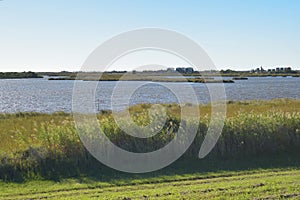 Louisiana Marsh Wetlands