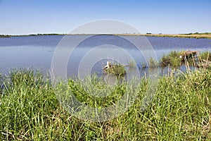 Louisiana Marsh Wetlands
