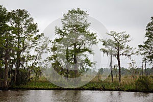 Louisiana Marsh Wetlands