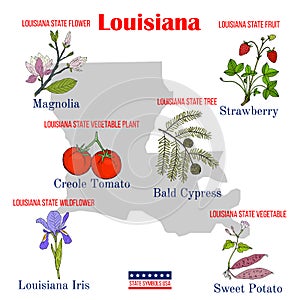 Louisiana. Set of USA official state symbols