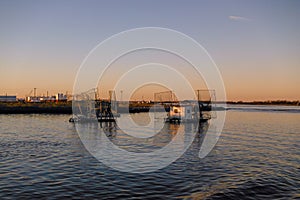 Louisiana Shrimp Boats