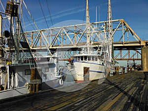 Louisiana Shrimp Boats