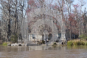 Louisiana Swamp House