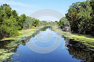Louisiana Swampy Bayou