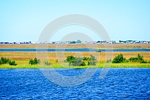 The Louisiana Wetlands