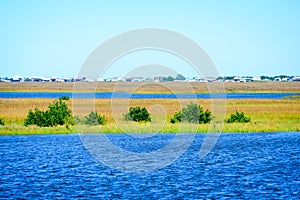 The Louisiana Wetlands