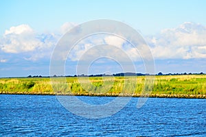 The Louisiana Wetlands