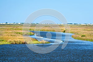 Louisiana Wetlands