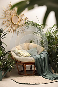 Lounge area interior with papasan chair and houseplants photo