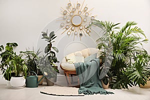 Lounge area interior with papasan chair and houseplants