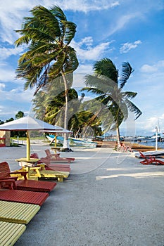 Lounge chairs at the sand beach with palm trees at the island Caye Caulker, Belize