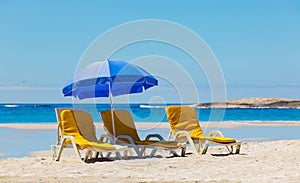 Lounger chairs and parasol umbrellas on sandy beach in Cape Town