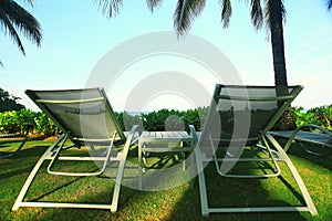 Lounges and palm landscape
