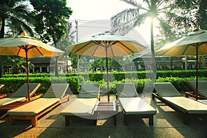 Lounges and palm in tropical resort