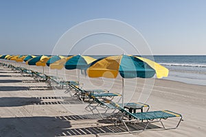 Lounges & Umbrellas on Daytona Beach photo