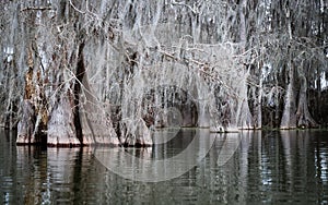 Lousiana's Lake Martin