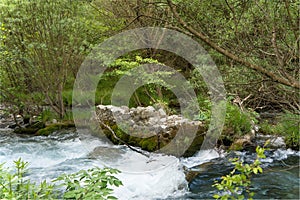 Lousios River, Greece