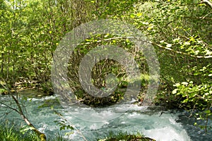 Lousios River, Greece