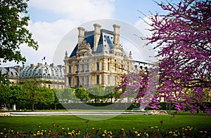 Louvre Garden photo