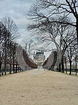 Louvre museum and the tuilleries garden,  Paris,  France photo