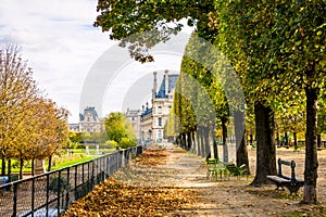 The Louvre palace seen from the Tuileries garden in autumn in Paris, France
