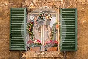 Louvre shutters