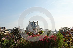 The Louvre and Tuilleries Gardens photo