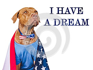 Lovable, charming dog and American Flag. Closeup